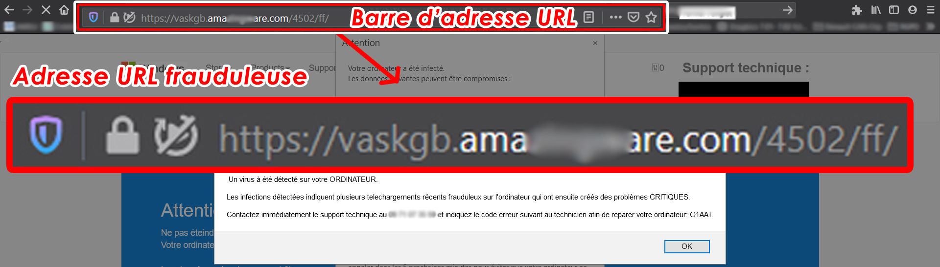 URL frauduleuse